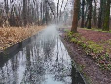 M5 TV – A vízpárába burkolózó hévízi Véderdő – 2026/9. adás – 2026.03.01.