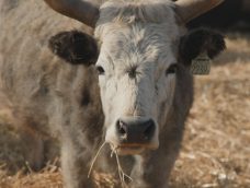 M5 TV – Erdei utakon – 2026/10. adás – 2026.03.08.