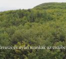 M5 TV – Nemzeti Kincsünk az Erdő – Tavaszi és nyári munkák az erdőben – 2026/11. adás – 2026.03.15.