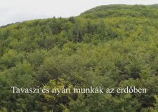 M5 TV – Nemzeti Kincsünk az Erdő – Tavaszi és nyári munkák az erdőben – 2026/11. adás – 2026.03.15.