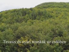M5 TV – Nemzeti Kincsünk az Erdő – Tavaszi és nyári munkák az erdőben – 2026/11. adás – 2026.03.15.