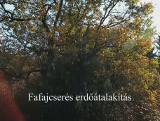 M5 TV – Nemzeti Kincsünk az Erdő – Fafajcserés erdőátalakítás – 2026/12. adás – 2026.03.22.