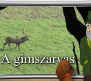 M5 TV – Erdő Ernő bácsi meséi – A gímszarvas – 2026/12. adás – 2026.03.22.