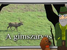 M5 TV – Erdő Ernő bácsi meséi – A gímszarvas – 2026/12. adás – 2026.03.22.