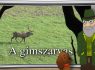 M5 TV – Erdő Ernő bácsi meséi – A gímszarvas – 2026/12. adás – 2026.03.22.