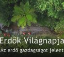 M5 TV – Erdők Világnapja – Az erdő gazdagságot jelent – 2026/12. adás – 2026.03.22.