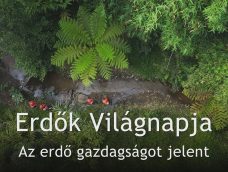 M5 TV – Erdők Világnapja – Az erdő gazdagságot jelent – 2026/12. adás – 2026.03.22.