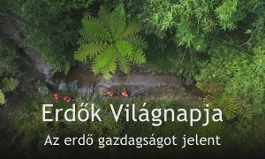 M5 TV – Erdők Világnapja – Az erdő gazdagságot jelent – 2026/12. adás – 2026.03.22.