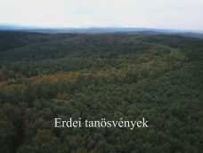 M5 TV – Nemzeti Kincsünk az Erdő – Erdei tanösvények – 2026/13. adás – 2026.03.29.