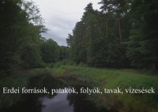 M5 TV – Nemzeti Kincsünk az Erdő – Erdei források, patakok, vízesések – 2026/14. adás – 2026.04.05.