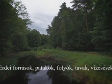 M5 TV – Nemzeti Kincsünk az Erdő – Erdei források, patakok, vízesések – 2026/14. adás – 2026.04.05.