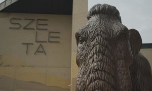 M5 TV – Erdei utakon – Ajánló – 2026/13. adás – 2026.03.29. vasárnap 16:25