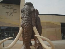 M5 TV – Szeleta Park – Feltárulnak a Bükk kőkori és természeti értékei – 2026/13. adás – 2026.03.29.