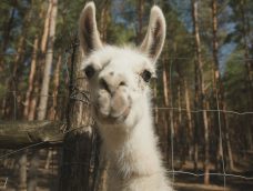 M5 TV – Erdei utakon – 2026/13. adás – 2026.03.29.