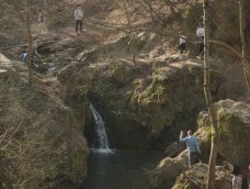 M5 TV – Erdei utakon – Ajánló – 2026/14. adás – 2026.04.05. vasárnap 16:30