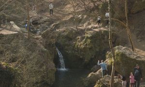 M5 TV – Erdei utakon – Ajánló – 2026/14. adás – 2026.04.05. vasárnap 16:30