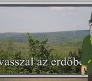 M5 TV – Erdő Ernő bácsi meséi – Tavasszal az erdőben – 2026/15. adás – 2026.04.12.