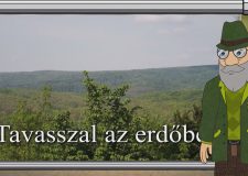 M5 TV – Erdő Ernő bácsi meséi – Tavasszal az erdőben – 2026/15. adás – 2026.04.12.