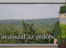 M5 TV – Erdő Ernő bácsi meséi – Tavasszal az erdőben – 2026/15. adás – 2026.04.12.