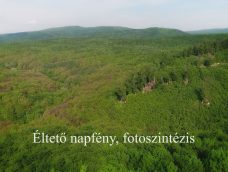 M5 TV – Nemzeti Kincsünk az Erdő – Éltető napfény, fotoszintézis – 2026/17. adás – 2026.04.26.