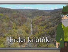 M5 TV – Erdő Ernő bácsi meséi – Erdei kilátók – 2026/17. adás – 2026.04.26.