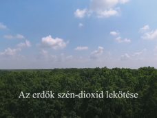 M5 TV – Nemzeti Kincsünk az Erdő – Az erdők szén-dioxid lekötése – 2026/18. adás – 2026.05.03.