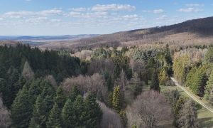 M5 TV – Erdei utakon – 2026/16. adás – 2026.04.19.