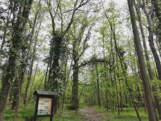 M5 TV – Feltárul a Soroksári Botanikus Kert világa – 2026/17. adás – 2026.04.26.