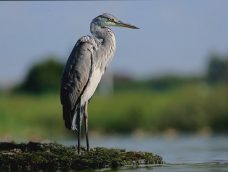 M5 TV – Erdei utakon – Ajánló – 2026/18. adás – 2026.05.03. vasárnap 16:45