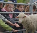 M5 TV – Erdei iskolai nevelés – élménydús foglalkozások Gyenesdiáson – 2026/18. adás – 2026.05.03.