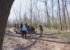 M5 TV – Erdőfelújítási munkák Kecskemét térségében – 2026/15. adás – 2026.04.12.