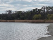 M5 TV – Erdőregenerációs program indul a tatai Öreg-tó térségében – 2026/15. adás – 2026.04.12.