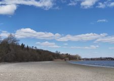 M5 TV – Erdei utakon – 2026/15. adás – 2026.04.12.