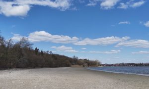 M5 TV – Erdei utakon – 2026/15. adás – 2026.04.12.