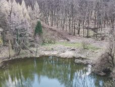 M5 TV – Látványos vízmegtartás az Agostyáni Arborétumban – 2026/16. adás – 2026.04.19.