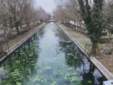 M5 TV – A Hévízi levezető csatorna ökológiája – 2026/16. adás – 2026.04.19.