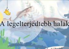 M5 TV – Horgász Oszkár bácsi meséi – A legelterjedtebb halak – 2026/19. adás – 2026.05.10.