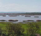 M5 TV – Fertő és Hanság – vízi világ és vadon – 2026/19. adás – 2026.05.10.