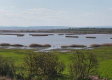 M5 TV – Fertő és Hanság – vízi világ és vadon – 2026/19. adás – 2026.05.10.