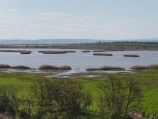 M5 TV – Fertő és Hanság – vízi világ és vadon – 2026/19. adás – 2026.05.10.