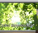 M5 TV – Erdő Ernő bácsi meséi – Erdei szemetelés – 2026/22. adás – 2026.05.31.