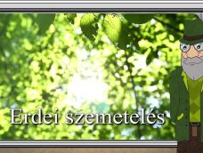 M5 TV – Erdő Ernő bácsi meséi – Erdei szemetelés – 2026/22. adás – 2026.05.31.