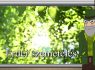 M5 TV – Erdő Ernő bácsi meséi – Erdei szemetelés – 2026/22. adás – 2026.05.31.