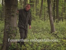 M5 TV – Nemzeti Kincsünk az Erdő – Fenntartható erdőgazdálkodás – 2026/26. adás – 2026.06.28.