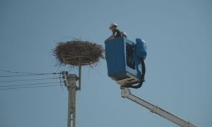 M5 TV – Erdei utakon – Ajánló – 2026/26. adás – 2026.06.28. vasárnap 16:45