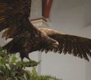 M5 TV – Föld mélyétől a csillagokig – a Bükki Nemzeti Park vidéke – 2026/24. adás – 2026.06.14.