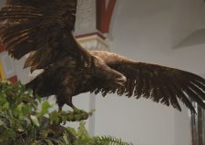 M5 TV – Föld mélyétől a csillagokig – a Bükki Nemzeti Park vidéke – 2026/24. adás – 2026.06.14.