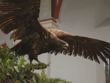 M5 TV – Föld mélyétől a csillagokig – a Bükki Nemzeti Park vidéke – 2026/24. adás – 2026.06.14.