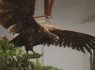 M5 TV – Föld mélyétől a csillagokig – a Bükki Nemzeti Park vidéke – 2026/24. adás – 2026.06.14.