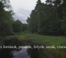 M5 TV – Nemzeti Kincsünk az Erdő – Erdei források, tavak, vízesések – 2026/32. adás – 2026.08.09.